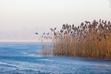 Fototapety  Jezioro Pogoria. Zimowy krajobraz w Polsce