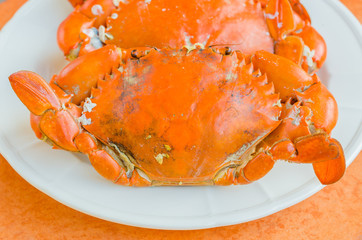 Grilled Crab on white plate