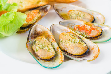 Mussel