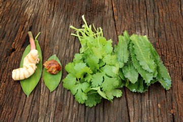 Galangal ginger,parsley and thai vegetable herb