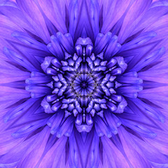 Blue Concentric Flower Center. Mandala Kaleidoscopic design