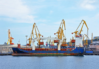 Fototapeta premium Bulk cargo ship under port crane bridge, Odessa, Ukraine