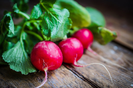 Radishes on rustic wooden background