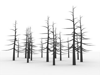 Forest with trees without leaves