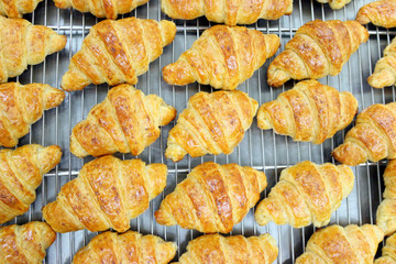 croissants out of oven