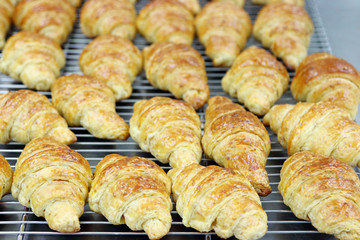croissants out of oven