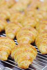 croissants out of oven
