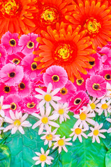 Flowers background