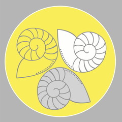 Shell in yellow round on grey background. Vector