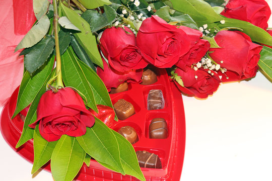 Valentine's Day  roses and chocolates
