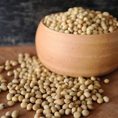 Rotten soybean seed in earthen bowl