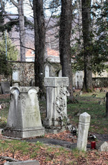 Fototapeta premium abandoned cemetery