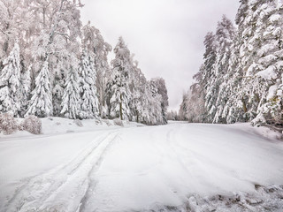 Snowy winter road thru the forest