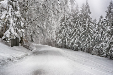 Snowy winter road thru the forest