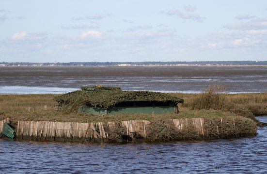 tonne de chasse au gibier d'eau, bassin d'arcachon