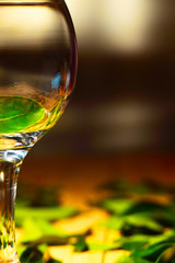 Green leaf in a large glass goblet