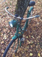 Fototapeta na wymiar Fahrrad im Herbst