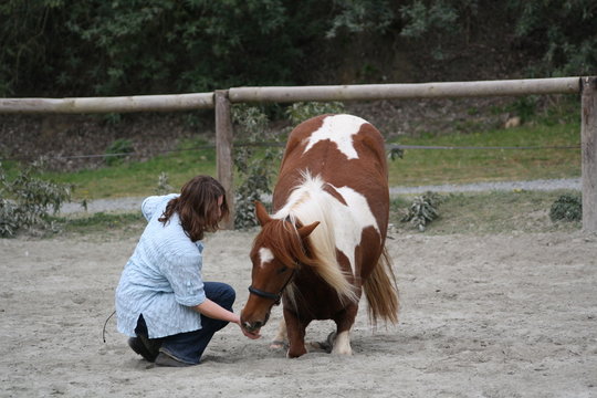 Ponette &agrave; genou