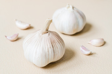 Garlic