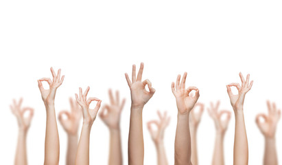 human hands showing ok sign