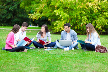 Group of students sitting on the grass