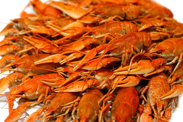 Fresh boiled crawfish