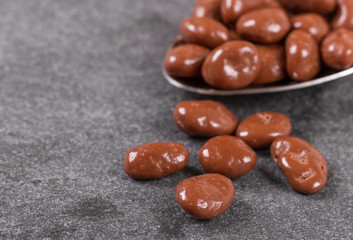 Chocolate Covered Raisins