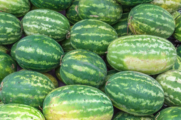 Watermelons