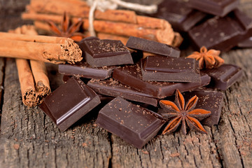 Pieces of dark chocolate