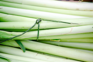 Fototapeta premium Fresh organic leek sold at street market