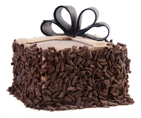 ice cream. chocolate ice cream cake