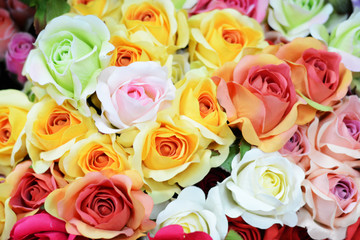 colorful roses background