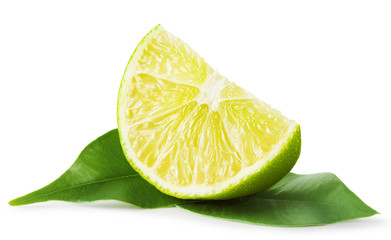 Slice of lime with leaves
