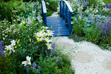 Tranquil garden