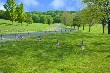 Obraz premium American Flags Line The Raod On Memorial Day