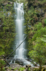 Erskine Falls