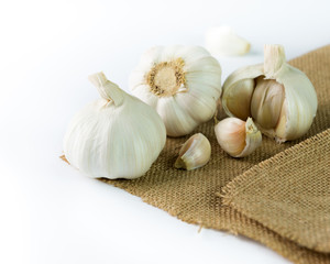 Garlic