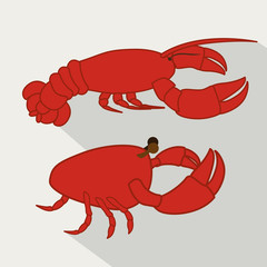 food design
