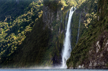 Fototapeta premium Milford Sound - New Zealand