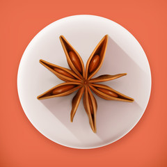 Anise, long shadow vector icon