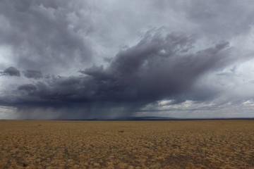 Regenzeit in der mongolischen Steppe