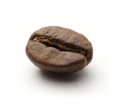 One coffee bean