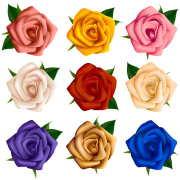 Set of roses of various colors