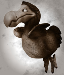 Dodo © Julien Tromeur