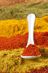 Assorted powder spices