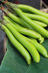 Green long eggplants in the market.