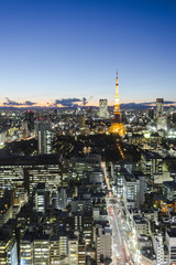 Naklejka premium Tokyo tower skyline cityspace sunset view
