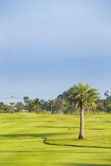 Golf green field garden with trees