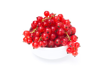 bowl of fresh red currant isolated on white