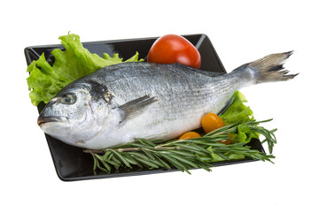 Raw dorado